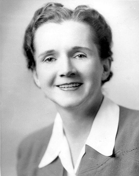 Rachel Carson's Fish & Wildlife Services Employee Photo, 1940